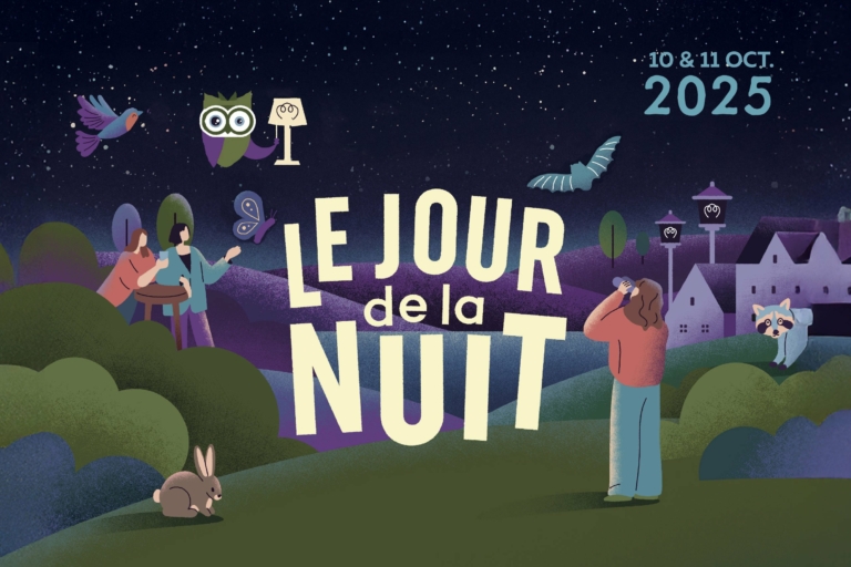 JOUR-DE-LA-NUIT